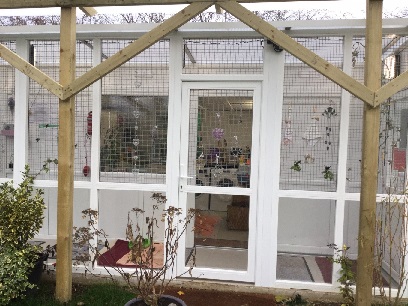 Witney Cattery
